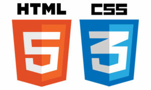 HTML5 and CSS3 are used to build and code webpages