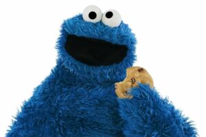 The Cookie Monster 