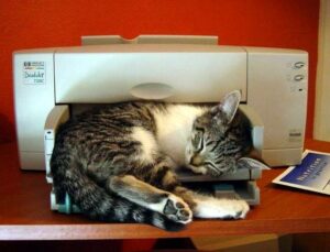 2D printer with cat