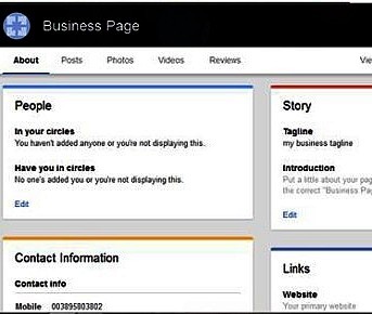 example of business page on google+